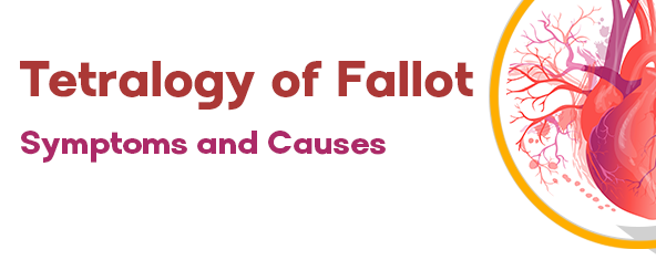 tetralogy-of-fallot-symptoms-and-causes-dr-gokhale-e1709027140873.png