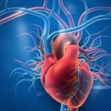 What is Vascular Surgery: Types, Benefits, and Role in Preventing Life-Threatening Complications