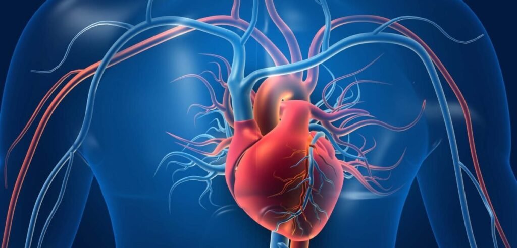 Vascular Surgery: Types, Benefits, and Its Role in Preventing Life-Threatening Complications