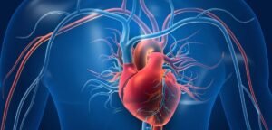 Vascular Surgery: Types, Benefits, and Its Role in Preventing Life-Threatening Complications