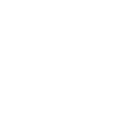 Ventricular Septal Defect (VSD)