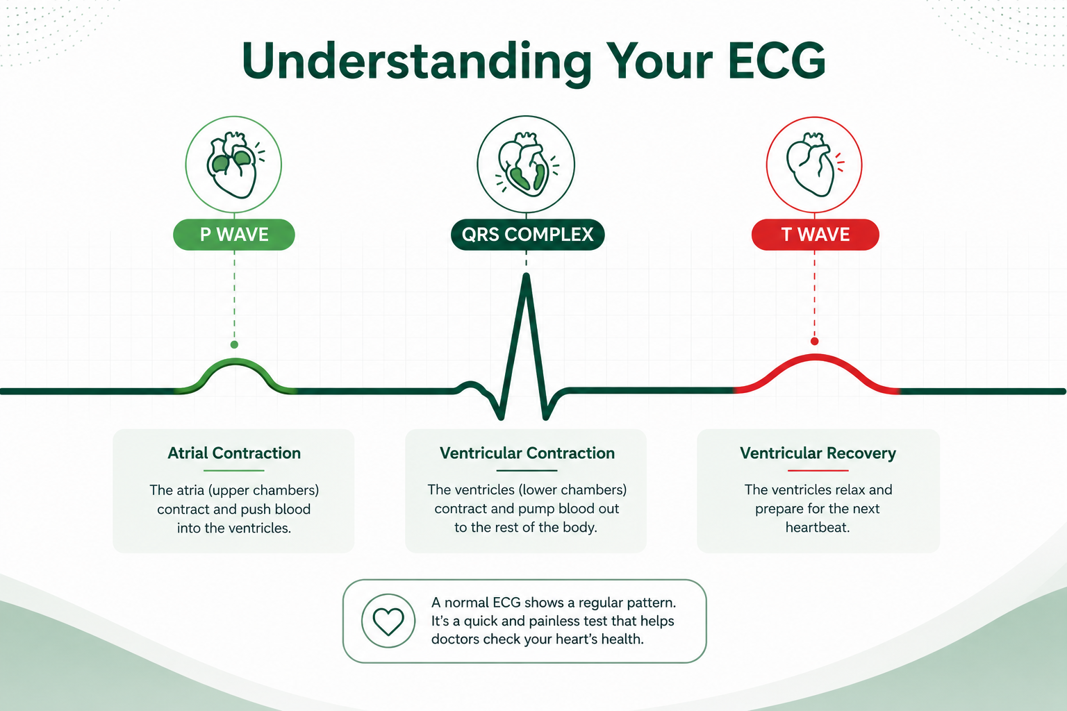 ECG
