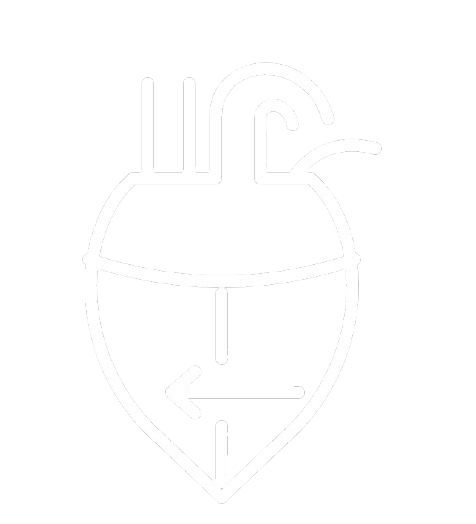 Ventricular Septal Defect